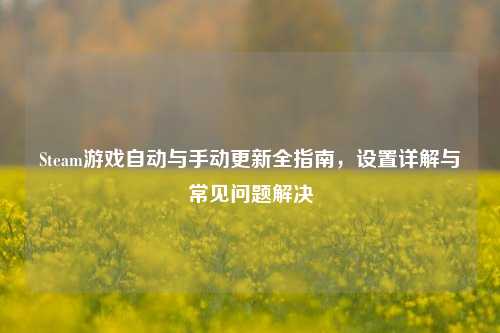 Steam游戏自动与手动更新全指南，设置详解与常见问题解决