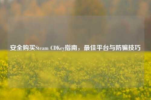 安全购买Steam CDKey指南，更佳平台与防骗技巧