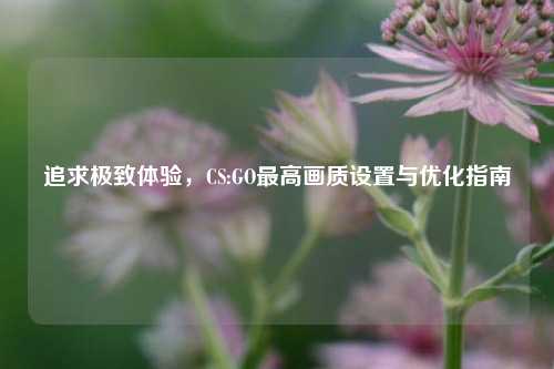 追求极致体验，CS:GO更高画质设置与优化指南