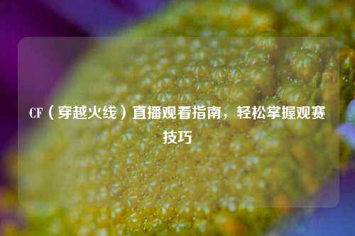 CF（穿越火线）直播观看指南，轻松掌握观赛技巧