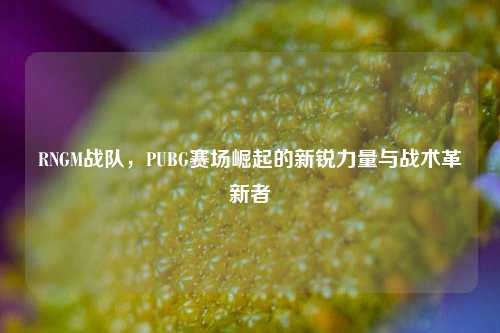 RNGM战队，PUBG赛场崛起的新锐力量与战术革新者