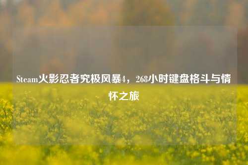 Steam火影忍者究极风暴4，268小时键盘格斗与情怀之旅