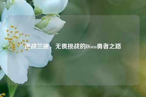 逆战兰迪，无畏挑战的Disco勇者之路