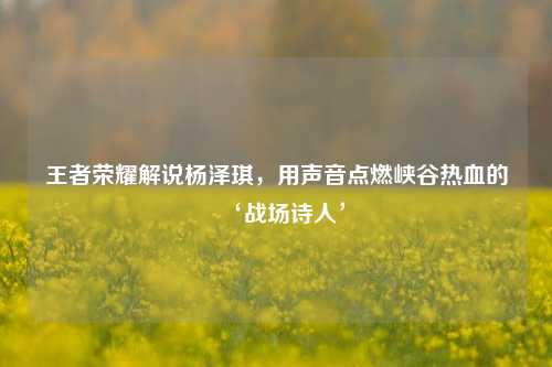 王者荣耀解说杨泽琪，用声音点燃峡谷热血的‘战场诗人’