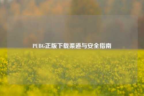 PUBG正版下载渠道与安全指南