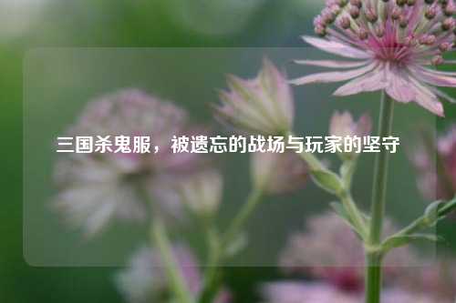 三国杀鬼服，被遗忘的战场与玩家的坚守