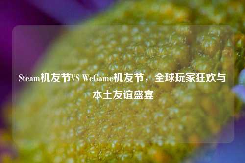 Steam机友节VS WeGame机友节，全球玩家狂欢与本土友谊盛宴