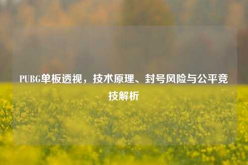 PUBG单板透视，技术原理、封号风险与公平竞技解析
