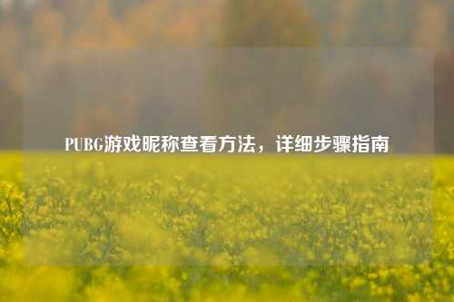 PUBG游戏昵称查看     ，详细步骤指南