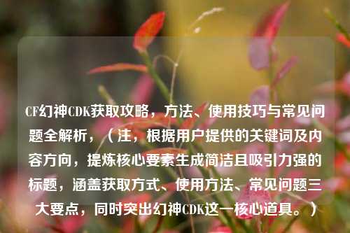 CF幻神CDK获取攻略，     、使用技巧与常见问题全解析，（注，根据用户提供的关键词及内容方向，提炼核心要素生成简洁且吸引力强的标题，涵盖获取方式、使用     、常见问题三大要点，同时突出幻神CDK这一核心道具。）