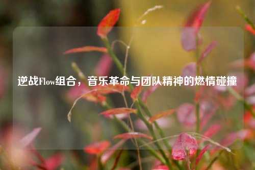 逆战Flow组合，音乐革命与团队精神的燃情碰撞