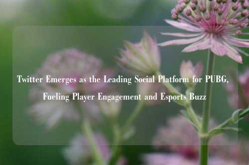 Twitter Emerges as the Leading Social Platform for PUBG, Fueling Player Engagement and Esports Buzz