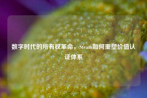 数字时代的所有权革命，Steam如何重塑价值认证体系