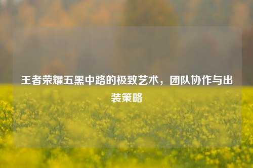 王者荣耀五黑中路的极致艺术，团队协作与出装策略