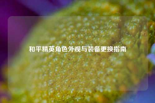 和平精英角色外观与装备更换指南