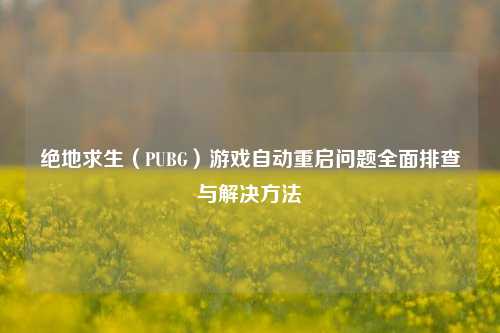 绝地求生（PUBG）游戏自动重启问题全面排查与解决     