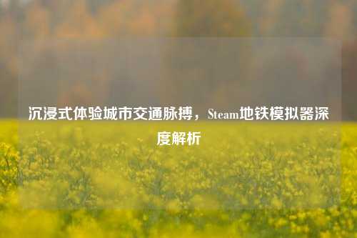 沉浸式体验城市交通脉搏，Steam地铁模拟器深度解析