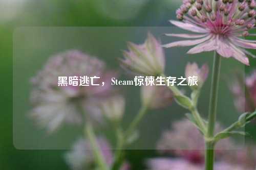 黑暗逃亡，Steam惊悚生存之旅
