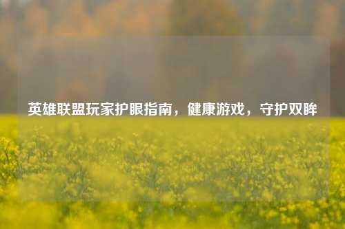 英雄联盟玩家护眼指南，健康游戏，守护双眸
