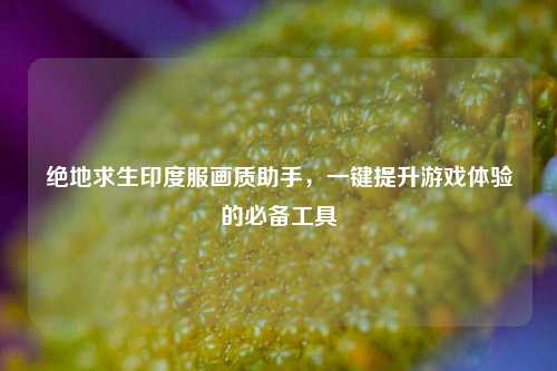 绝地求生印度服画质助手，一键提升游戏体验的必备工具