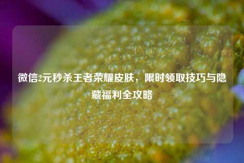 微信2元秒杀王者荣耀皮肤，限时领取技巧与隐藏福利全攻略