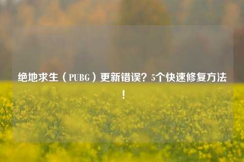 绝地求生（PUBG）更新错误？5个快速修复     ！