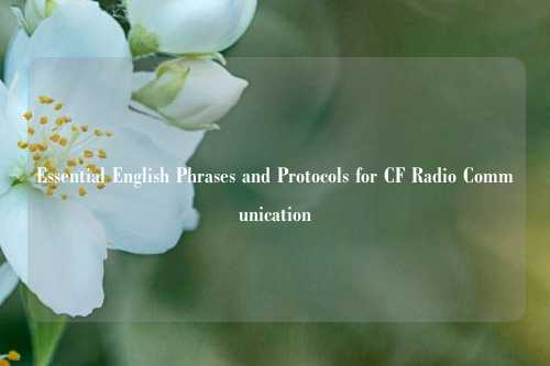 Essential English Phrases and Protocols for CF Radio Communication