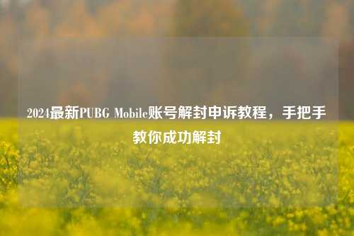 2024最新PUBG Mobile账号解封申诉教程，手把手教你成功解封