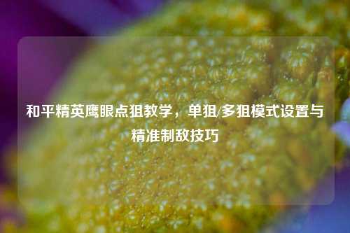 和平精英鹰眼点狙教学，单狙/多狙模式设置与精准制敌技巧