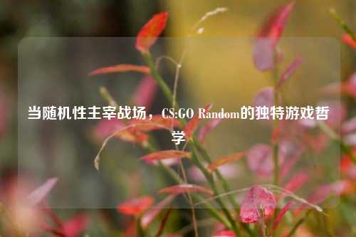 当随机性主宰战场，CS:GO Random的独特游戏哲学