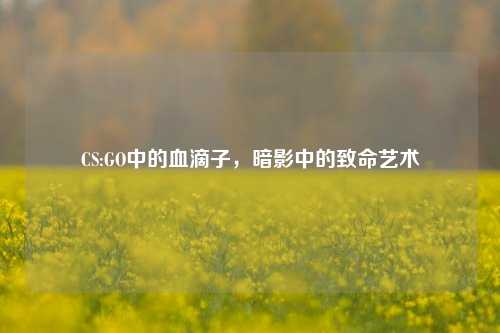 CS:GO中的血滴子，暗影中的致命艺术