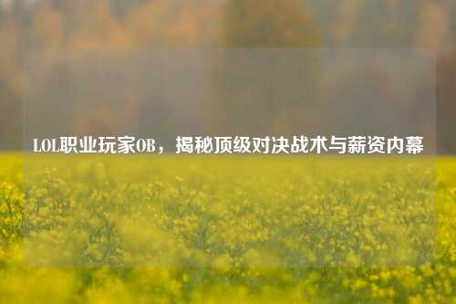LOL职业玩家OB，揭秘顶级对决战术与薪资内幕