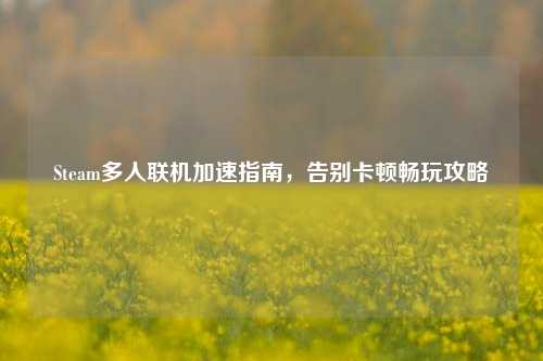 Steam多人联机加速指南，告别卡顿畅玩攻略