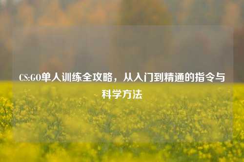 CS:GO单人训练全攻略，从入门到精通的指令与科学     