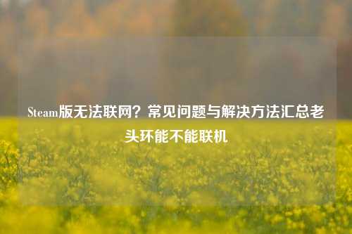 Steam版无法联网？常见问题与解决     汇总老头环能不能联机