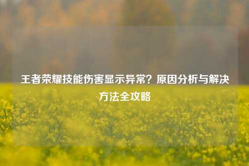 王者荣耀技能伤害显示异常？原因分析与解决     全攻略