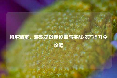 和平精英，游戏灵敏度设置与实战技巧提升全攻略