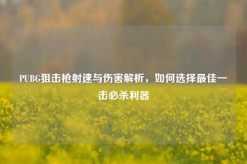 PUBG狙击枪射速与伤害解析，如何选择更佳一击必杀利器