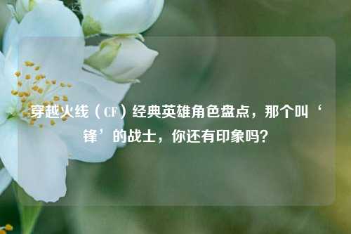 穿越火线（CF）经典英雄角色盘点，那个叫‘锋’的战士，你还有印象吗？