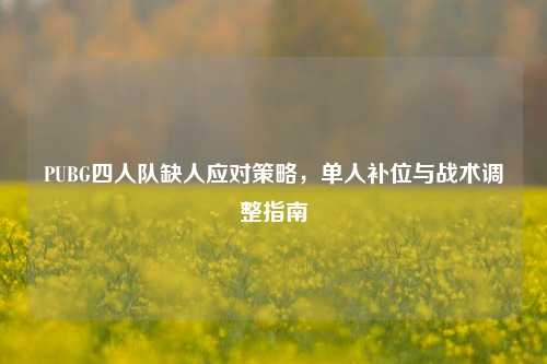 PUBG四人队缺人应对策略，单人补位与战术调整指南