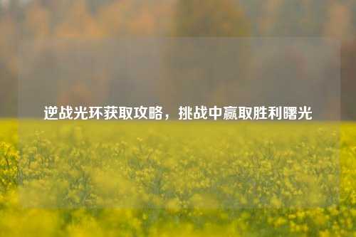 逆战光环获取攻略，挑战中赢取胜利曙光