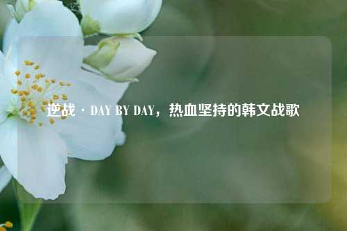 逆战·DAY BY DAY，热血坚持的韩文战歌