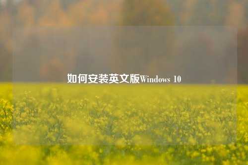 如何安装英文版Windows 10