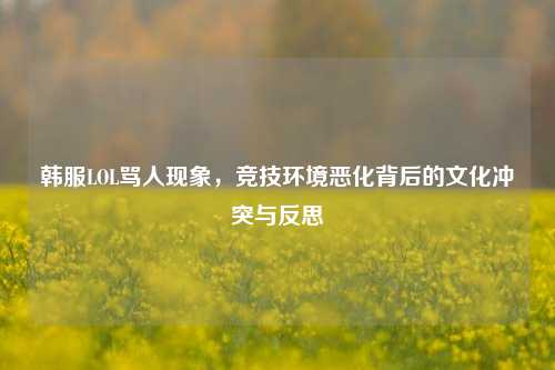 韩服LOL骂人现象，竞技环境恶化背后的文化冲突与反思