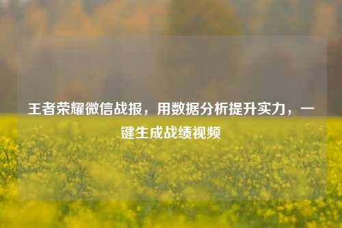王者荣耀微信战报，用数据分析提升实力，一键生成战绩视频