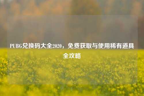 PUBG兑换码大全2020，免费获取与使用稀有道具全攻略