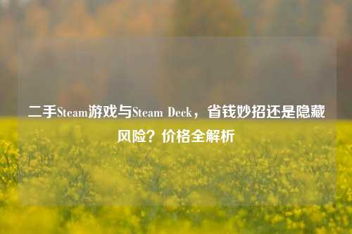 二手Steam游戏与Steam Deck，省钱妙招还是隐藏风险？价格全解析