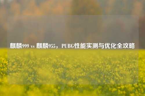 麒麟999 vs 麒麟955，PUBG性能实测与优化全攻略