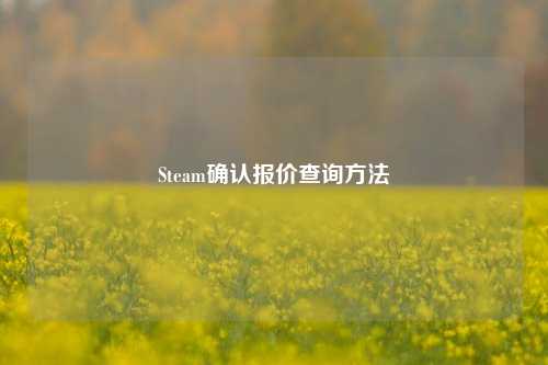 Steam确认报价查询     