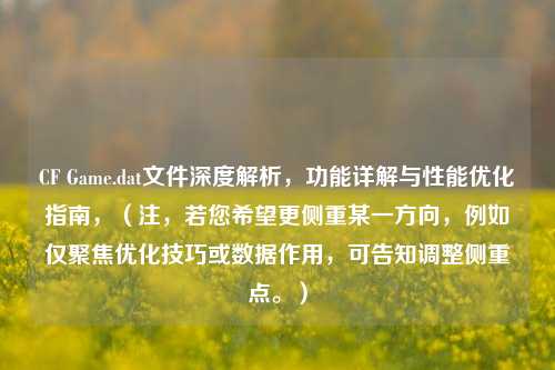 CF Game.dat文件深度解析，功能详解与性能优化指南，（注，若您希望更侧重某一方向，例如仅聚焦优化技巧或数据作用，可告知调整侧重点。）